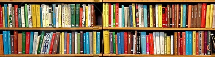 Fototrafía de dos estantes de libros multicolores de una biblioteca.