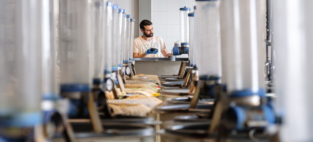 Vista de un investigador al final de dos filas de depósitos de agua