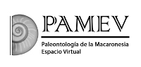 Logo PAMEV - Paleontología de la Macaronesia - Espacio Virtual, ilustrado con una imagen de una caracola.