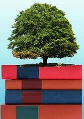 Pila de libros sobre los que hay plantado un árbol. 