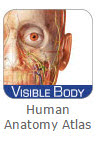 Logo de Human Anatomy Atlas en Visible Body