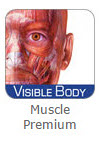 Logo de Muscle Premium en Visible Body