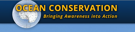 Vista del logo web de Ocean Conservation, con este nombre y el lema "Bringing Awareness into Action", sobre fondo azul oscuro, y un mapa circular de una sección del océnano con la Antártida
