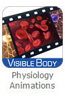 Logo de Physiology Animations en Visible Body