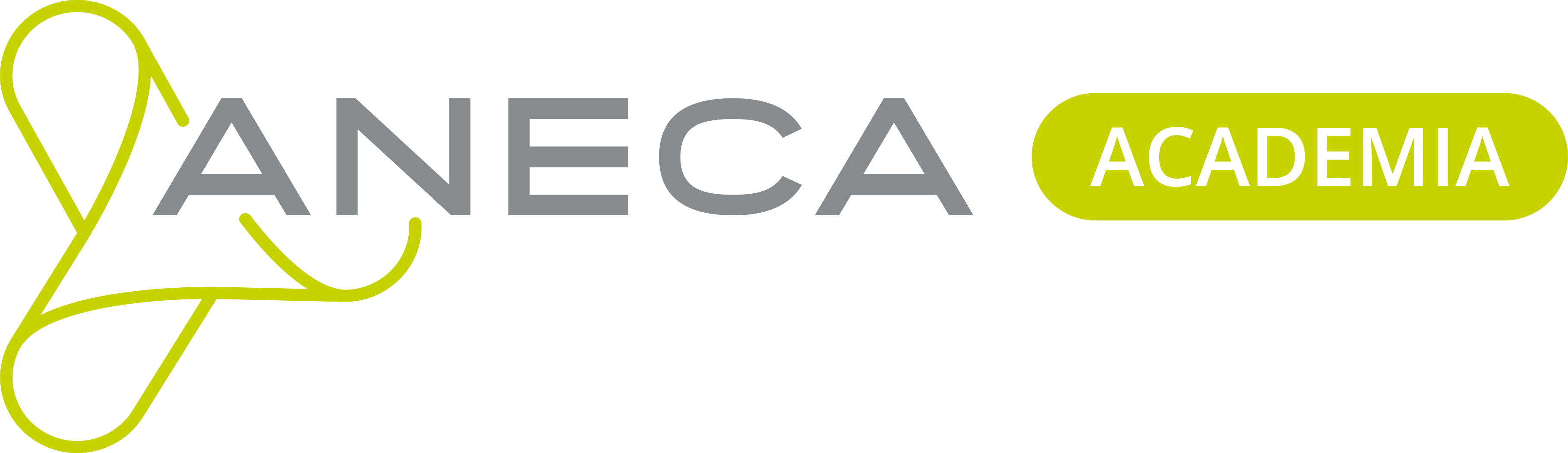 Logotipo del programa ACADEMIA de la ANECA