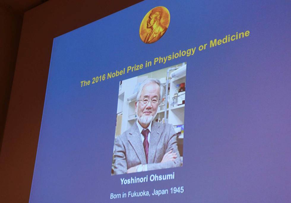 Una foto de Yoshinori Ohsumi, hoy, en el comité del Nobel en Estocolmo.