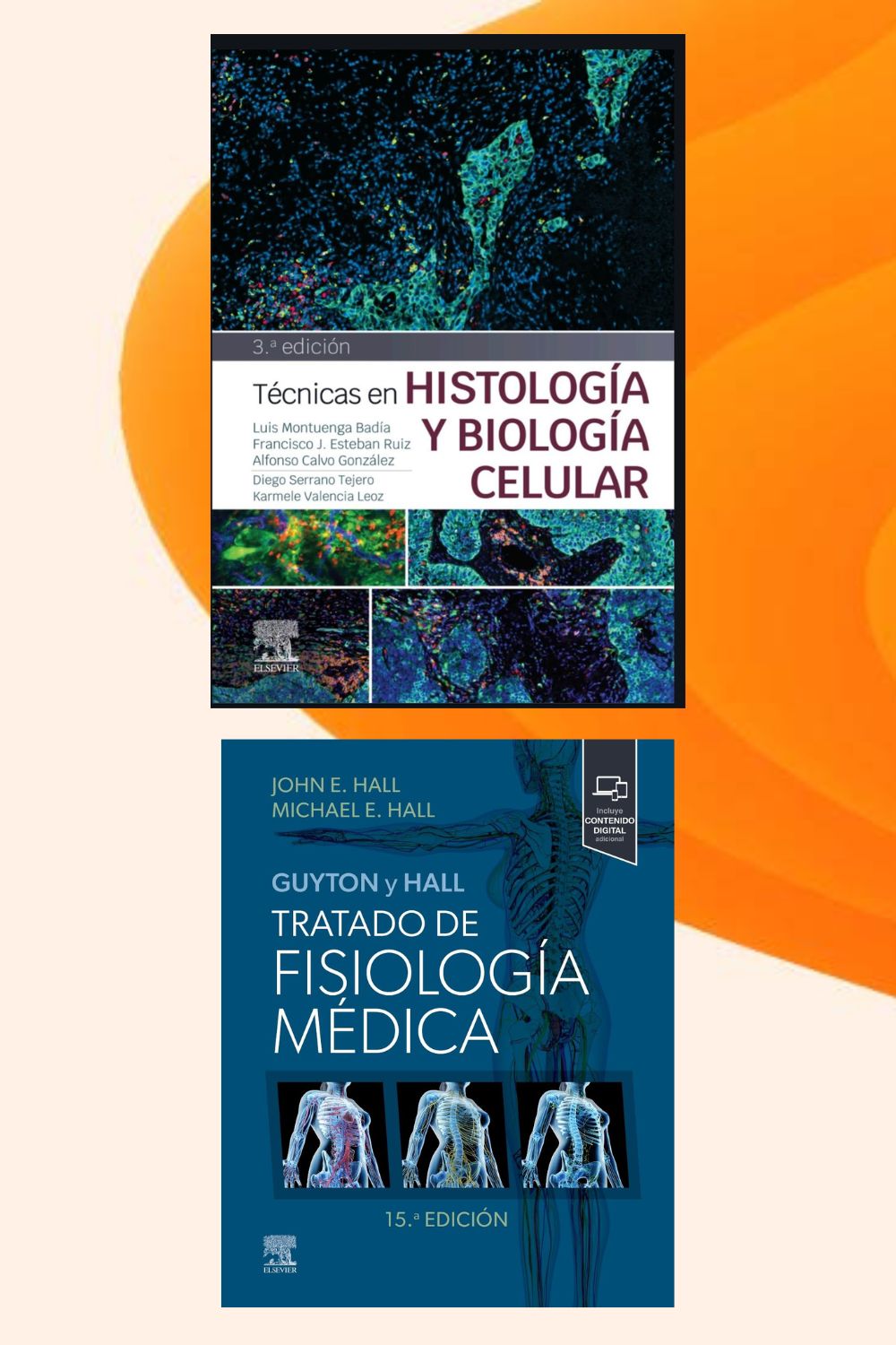 Novedades ClinicalKey 6