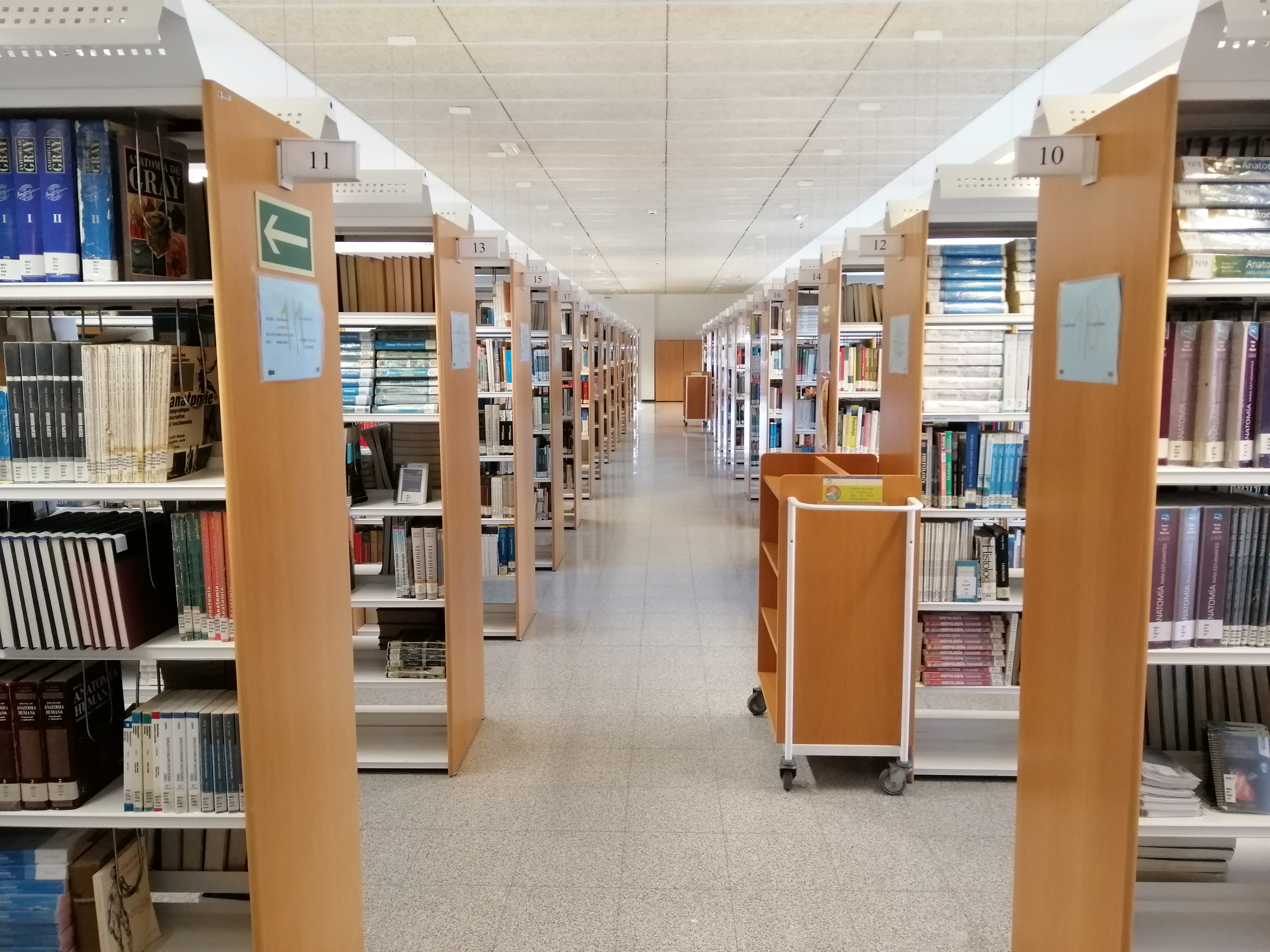 pasillo biblioteca
