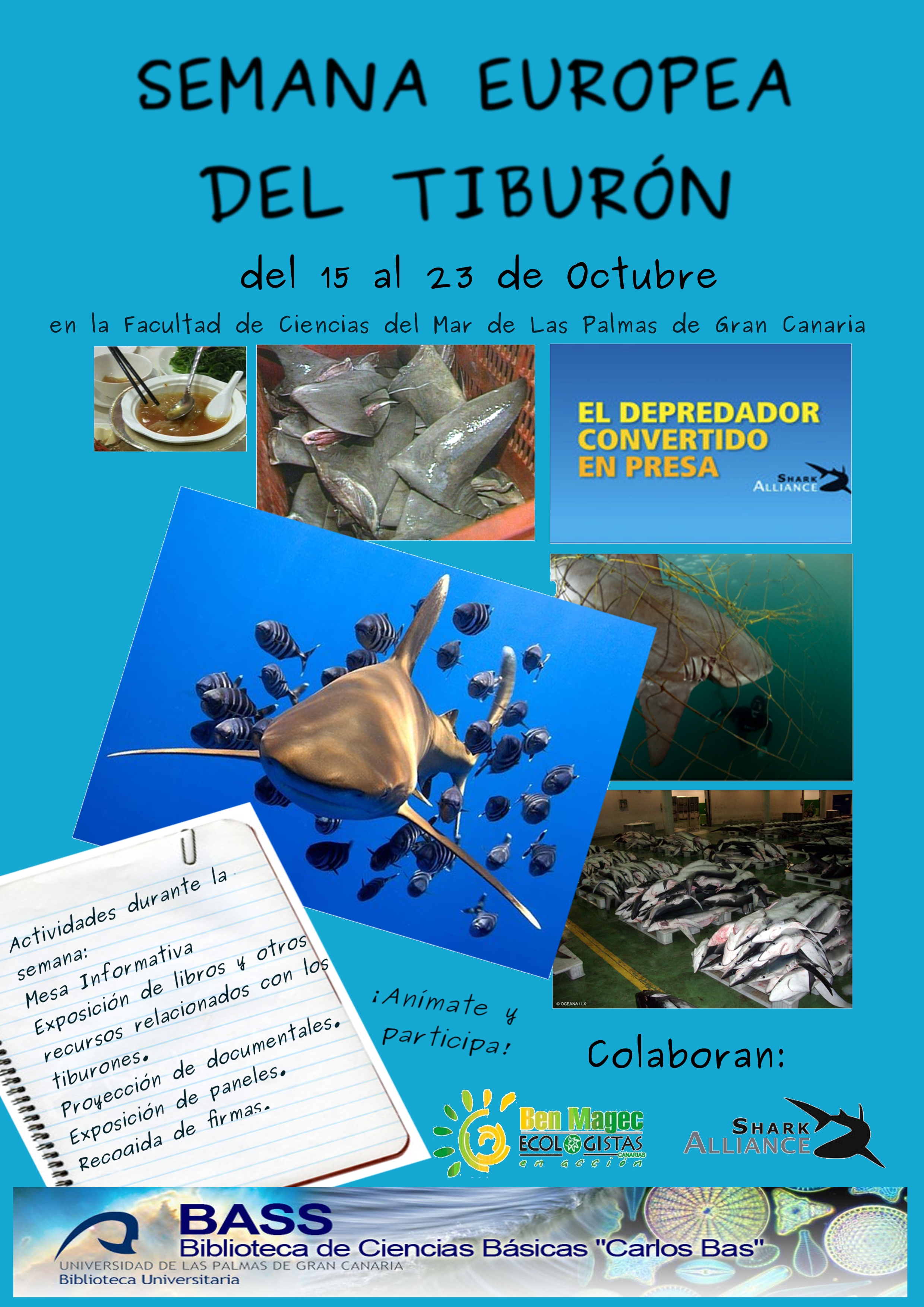 Semana Europea del Tiburón 2011 en la Facultad de Ciencias del Mar (ULPGC)