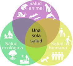 Una sola salud