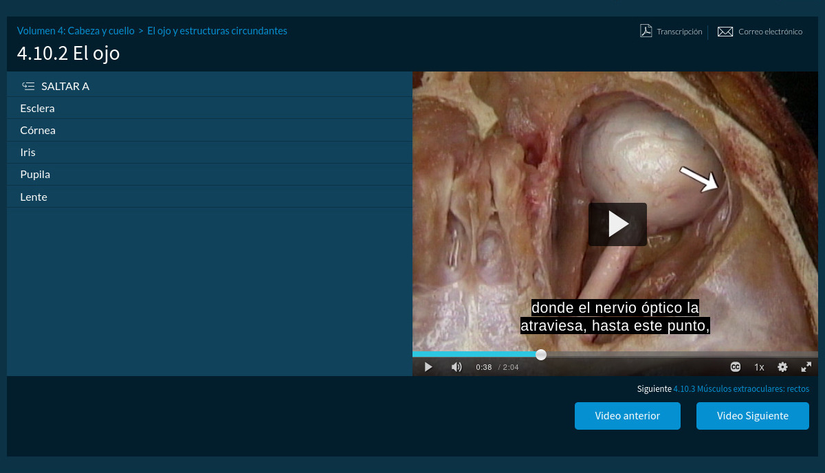 Vista de una pantalla del portal Acland dedicada al ojo, con imagen de vídeo explicativo que muestra la disección de un ojo