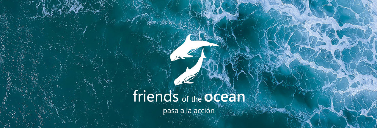 Logo compuesto por dos delfines formando un círculo sobre una vista cenital de la superficie del mar