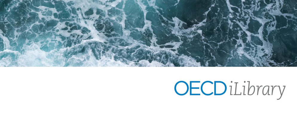 Logo OECD iLibrary. Sobre el mismo, vista cenital del mar encrespado.