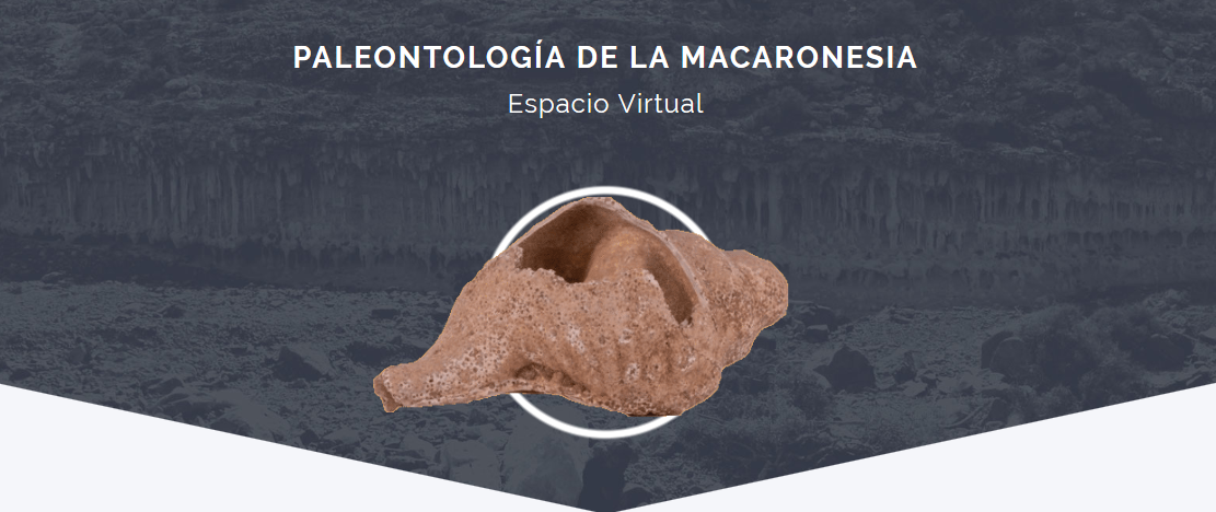 Cabecera del portal PAMEV Paleontología de la Macaronesia. Espacio virtual