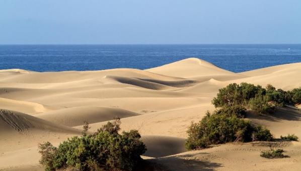 Vista de las dunas de Maspalomas con horizonte del océano al fondo