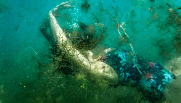 Mujer sumergida en fondo marino con algas 