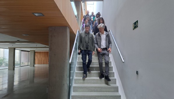 Grupo de personas bajando una escalera que da acceso a una sala diáfana acristalada con techo con madera.