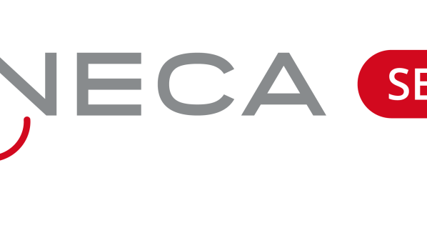 Logotipo de ANECA para la evaluación de sexenios
