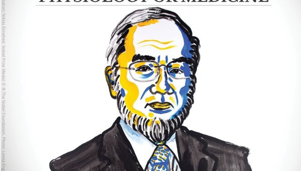 Premio Nobel Medicina 2016