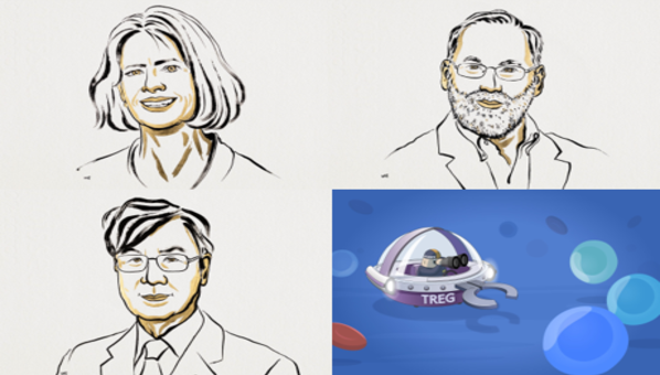 Premio Nobel de Medicina o Fisiología 2025 para los descubridores de la “tolerancia inmunitaria periférica”