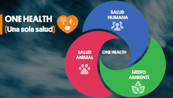 Logo One Health