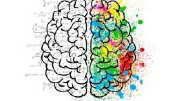 La base de datos PSICODOC, protagonista de una sesión de formación en línea