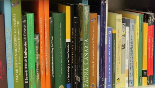 Libros multicolores en un estante