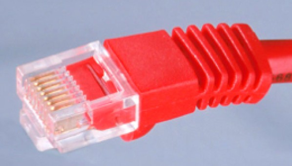 Imagen de un conector de red de datos