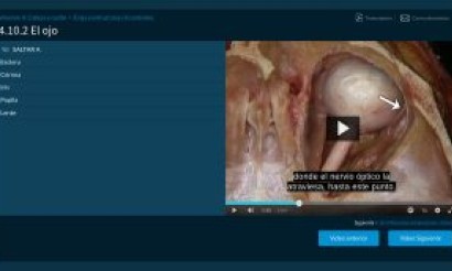 Formación sobre Acland: videoatlas de anatomía humana